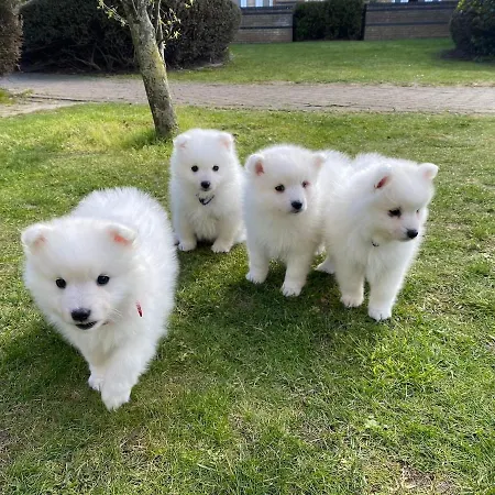 Apartamento Flat 5 Stars Da Rocha *