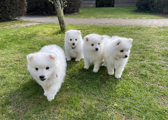 Apartamento Flat 5 Stars Da Rocha *